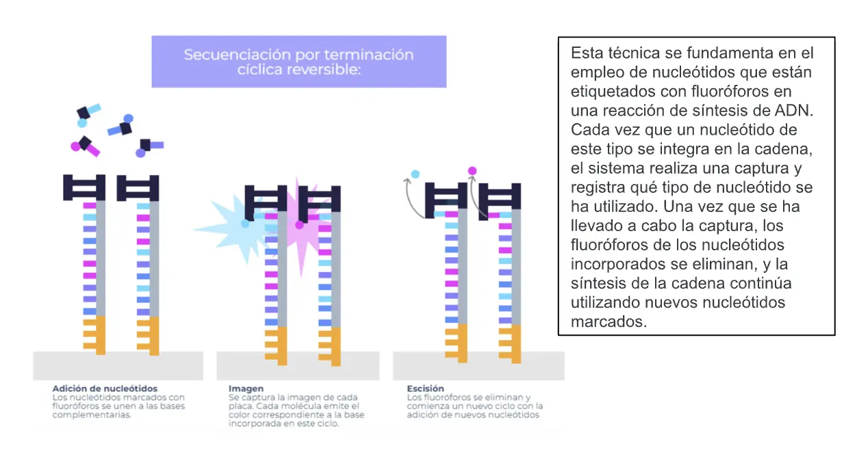 Monitoreo De Resistencia A Medicamentos Y La Cura Del VIH